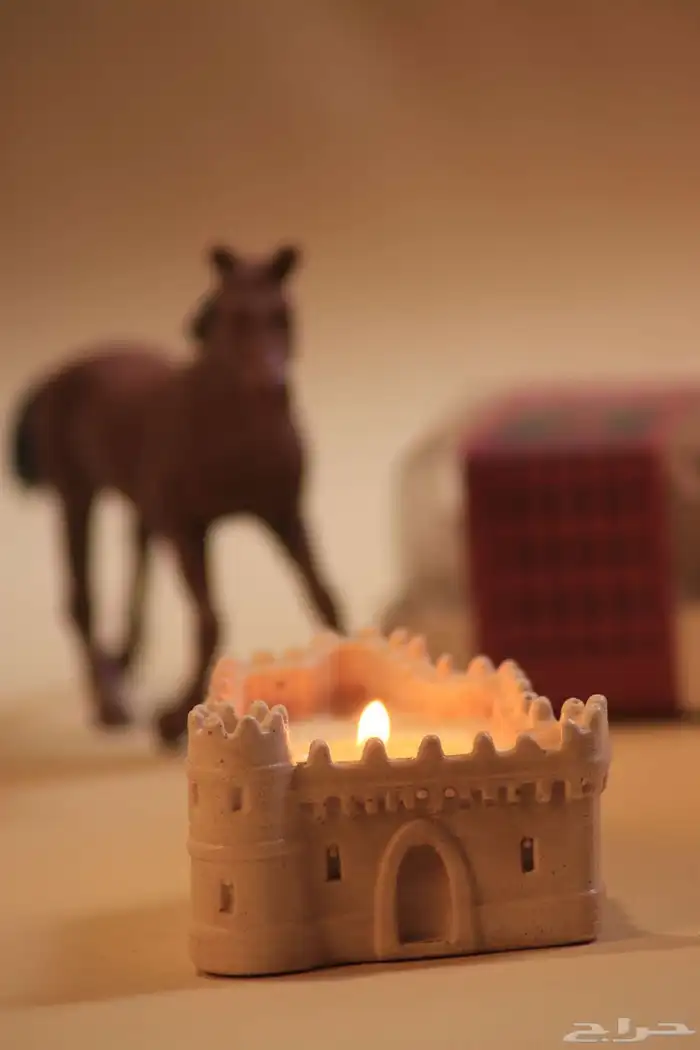 توزيعات اليوم الوطني السعودي 4