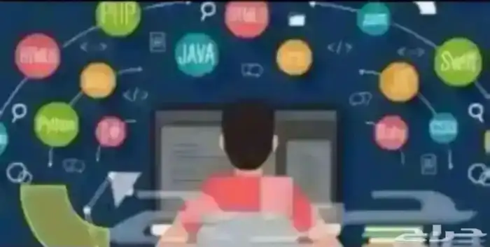 حل جميع الواجبات والاختبارات 0