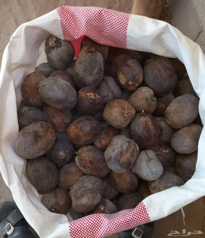 دوم حب على الشرط كيس كبير 1