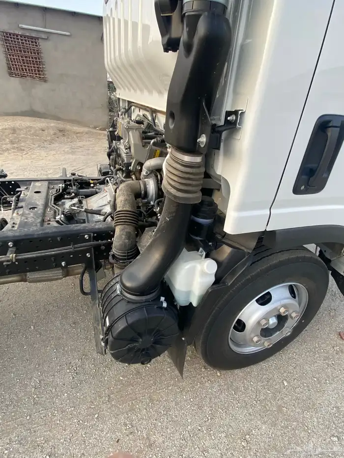 دينا اسيزو شاص طويل 4