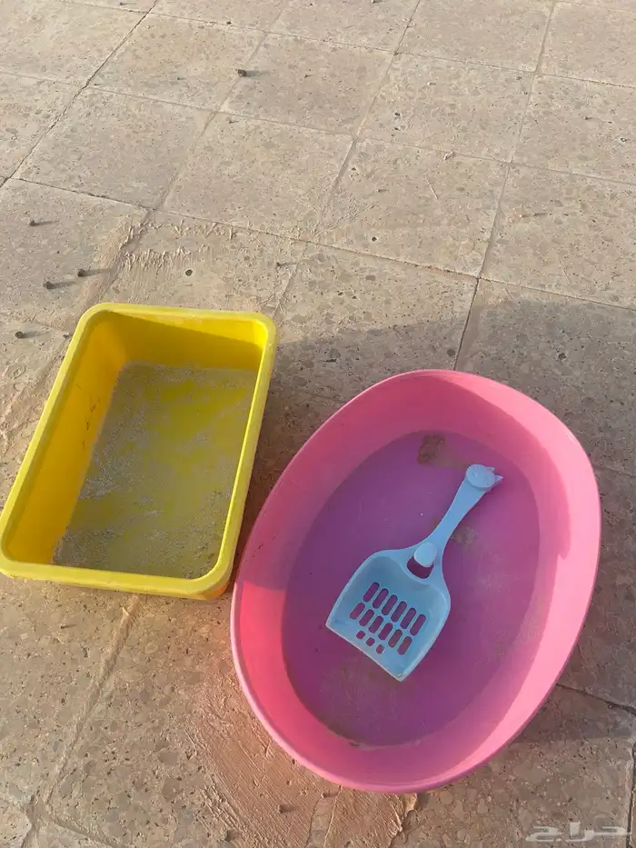 للبيع مستلزمات قطط وحوض سمك مستعجل 2