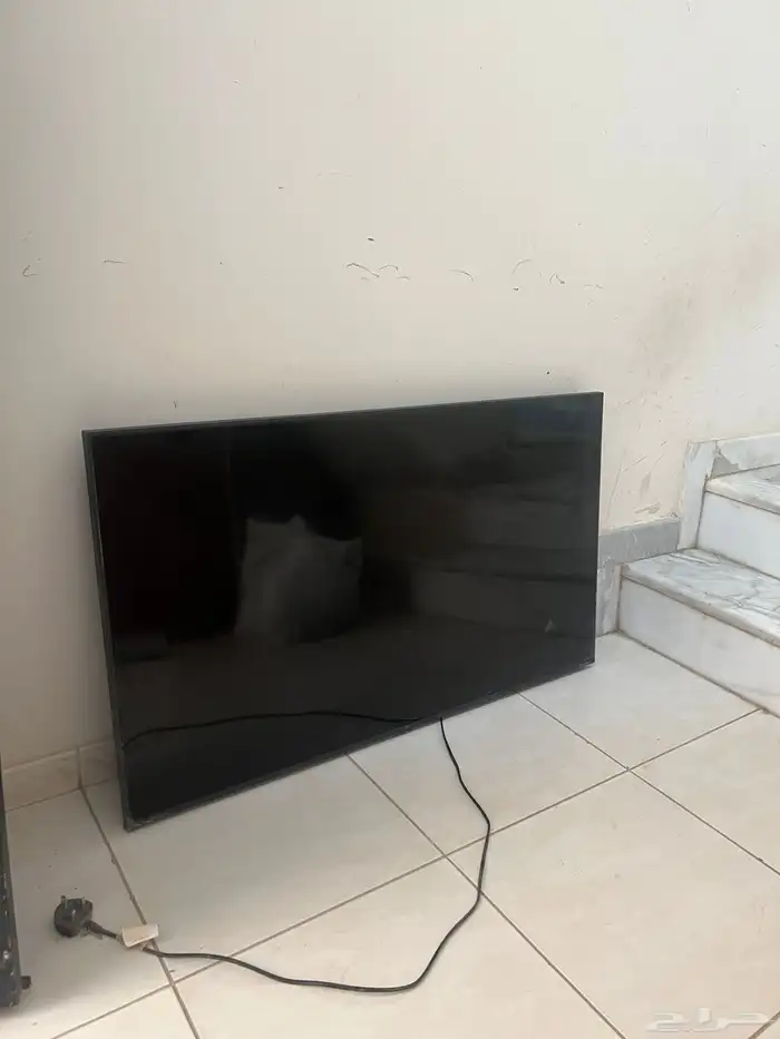 شاشة ال جي oled 2