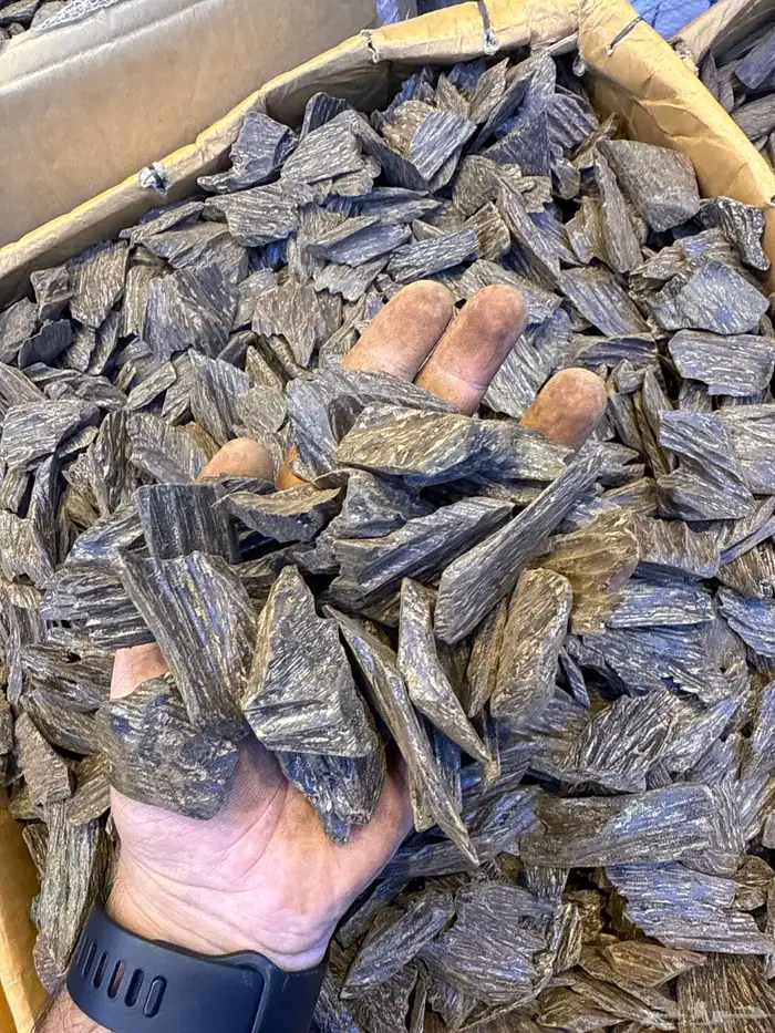 عود طبيعي محسن 16