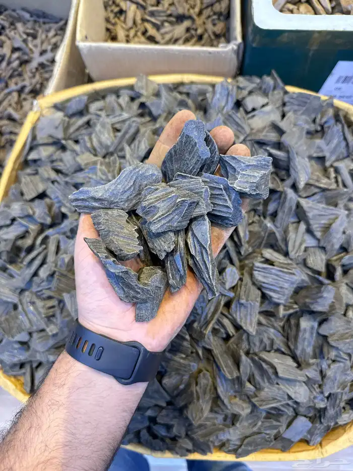 عود طبيعي محسن 17
