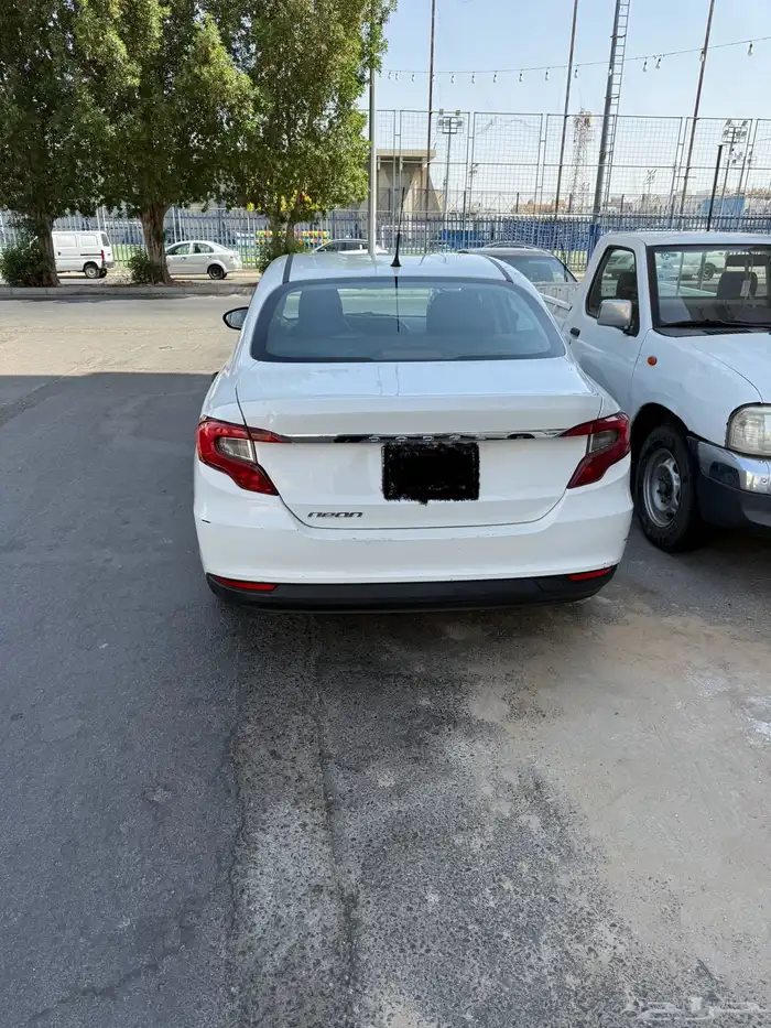 دردج نيون 2019 14
