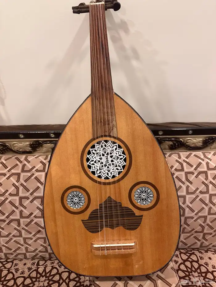 عود كهربائي ماركة فانا 0