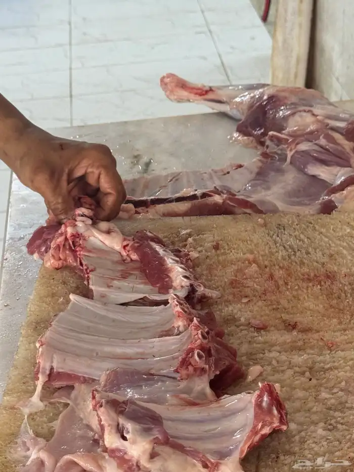 سواكن جملة وتفريد ويوجد توصيل 0