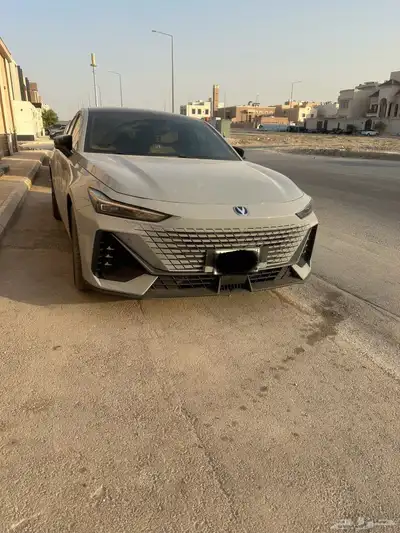 يوني في اسمنتي 2024 index