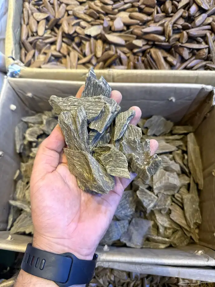 عود طبيعي محسن 10
