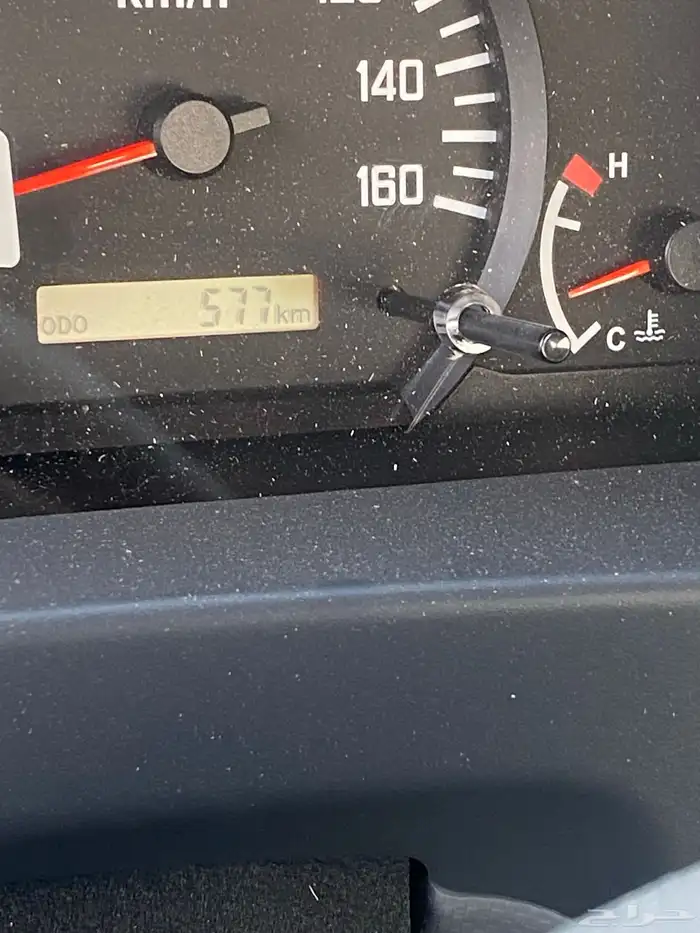 دينا اسيزو شاص طويل 12