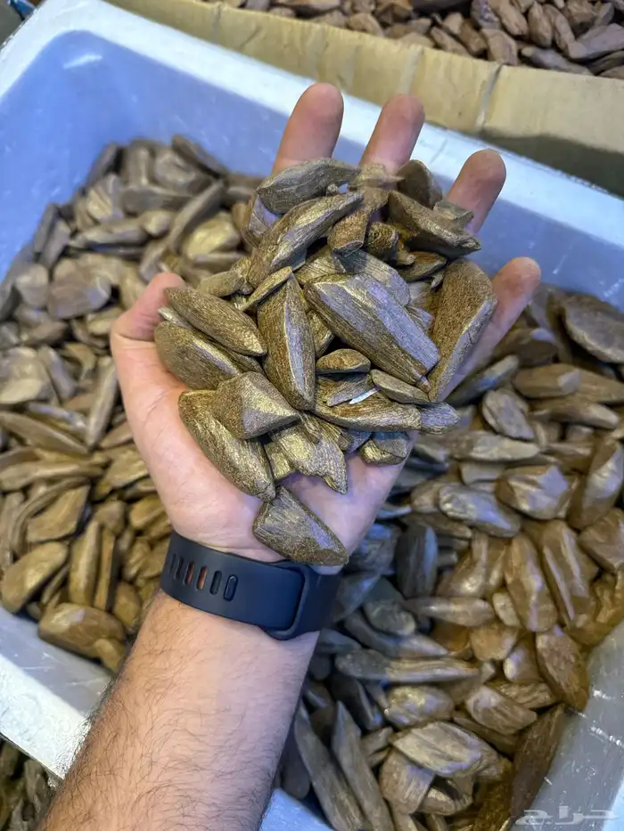 عود طبيعي محسن 25