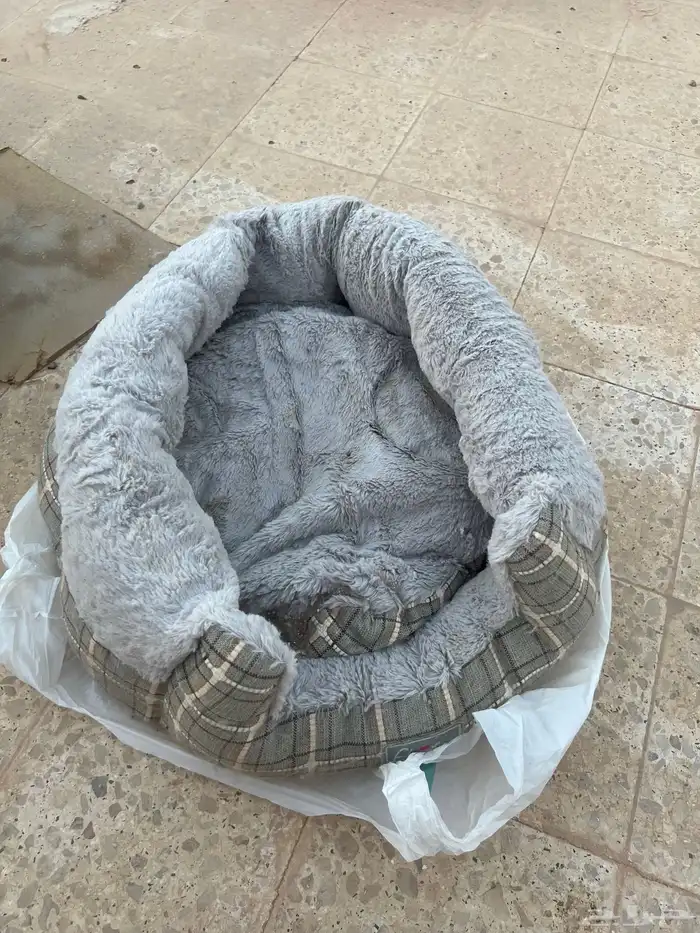 للبيع مستلزمات قطط وحوض سمك مستعجل 5