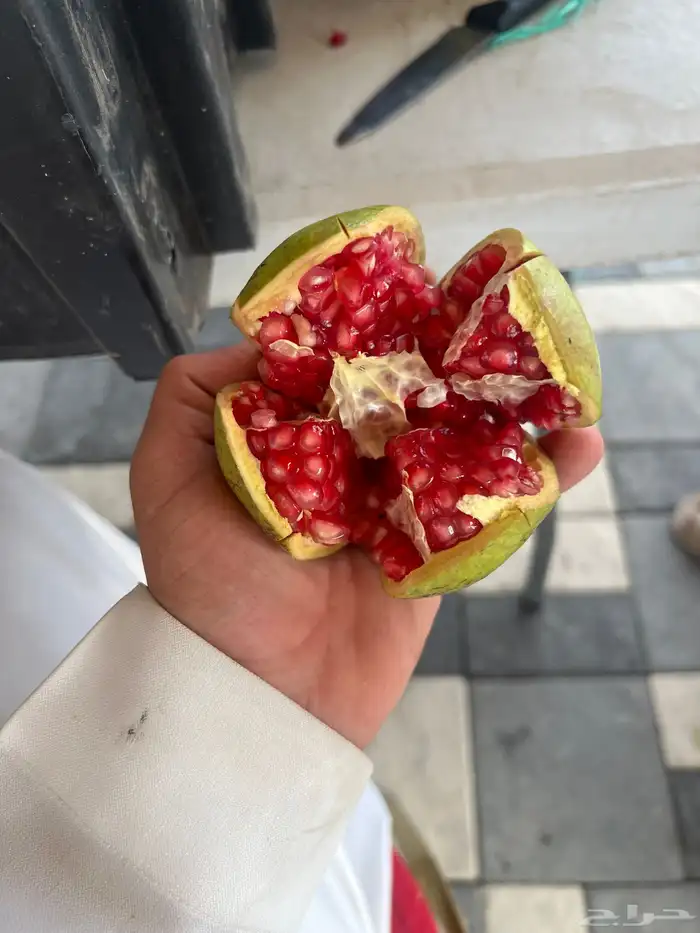 رمان جوف ال معمر 3