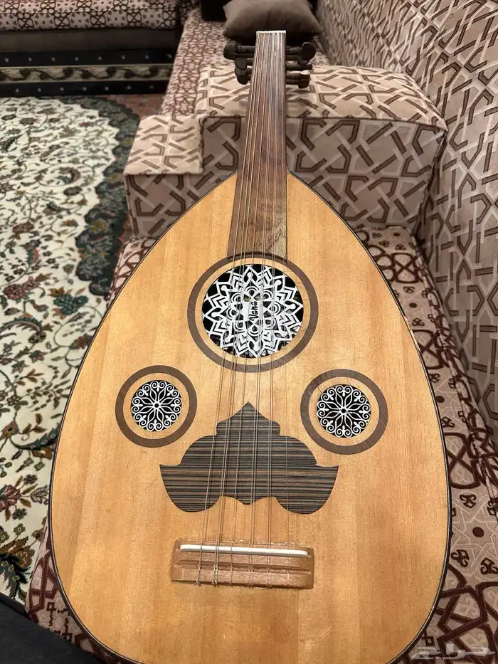 عود كهربائي ماركة فانا 8