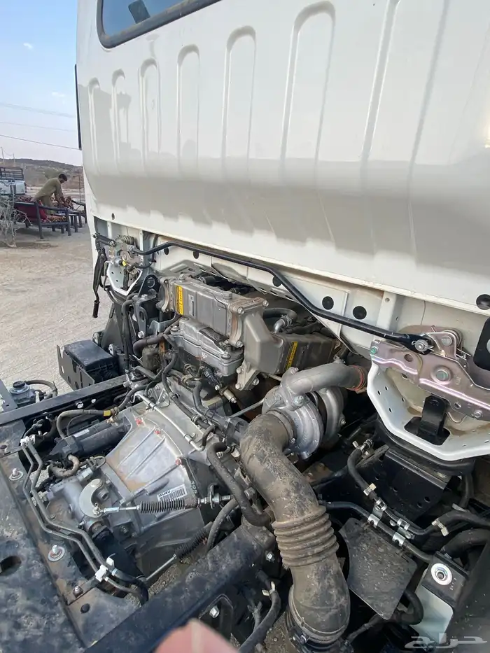 دينا اسيزو شاص طويل 5