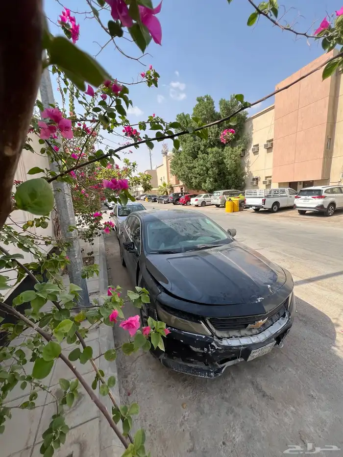 للبيع امبالا 2016 3