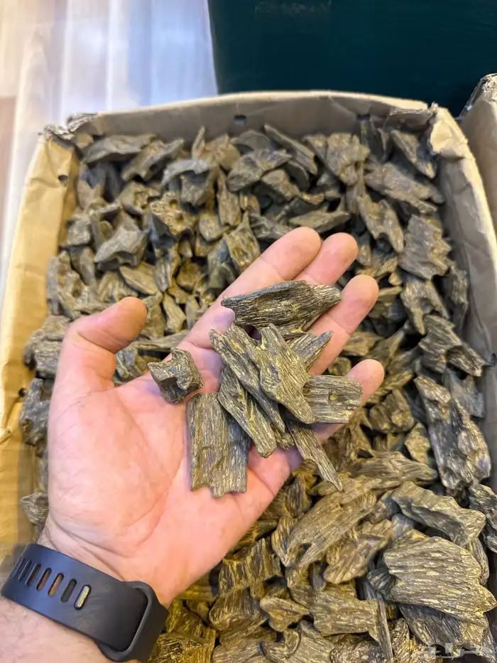 عود طبيعي محسن 14