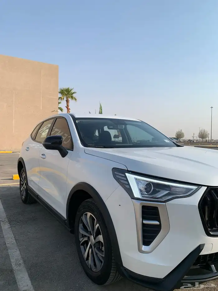 هافال جوليان 2025 للبيع 3