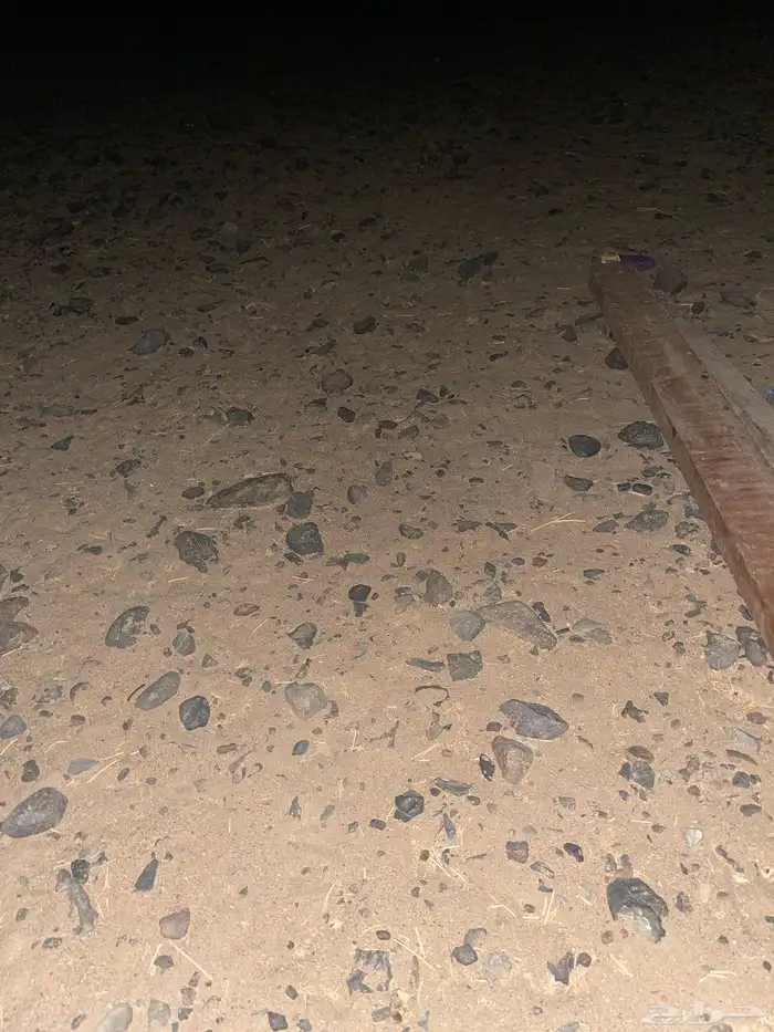 مطلوب حمام فينبع 0