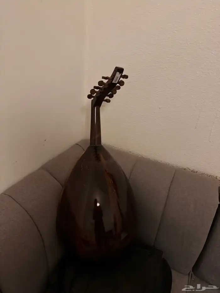 عود زرياب عراقي 2
