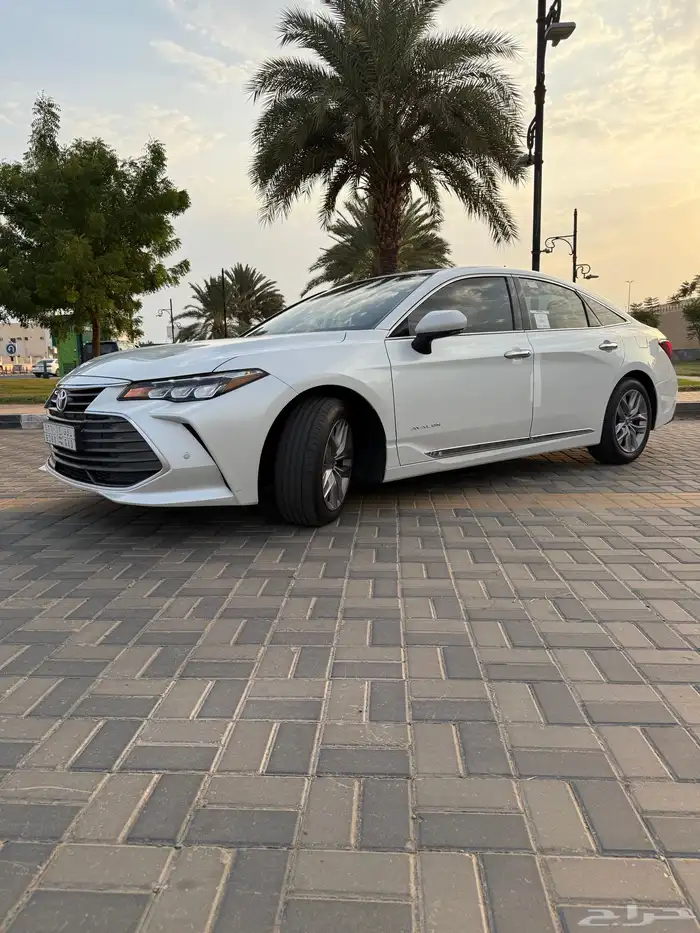 افلون 2021 تورنق 0