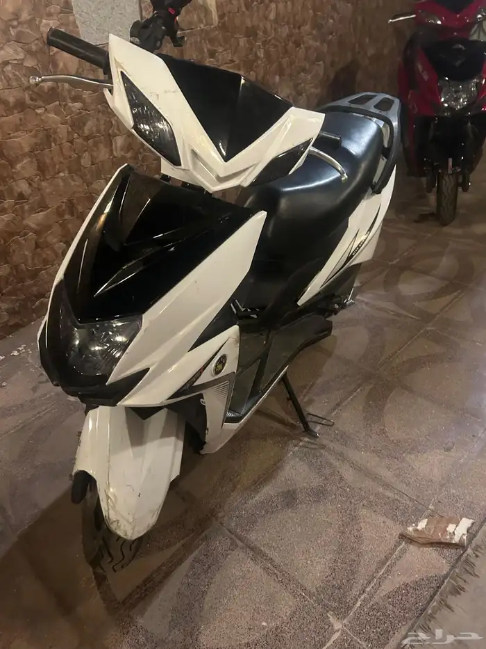 عجيب المشهور 2