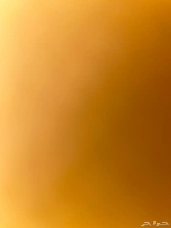 مطلوب ارنب انثى ضروري 0