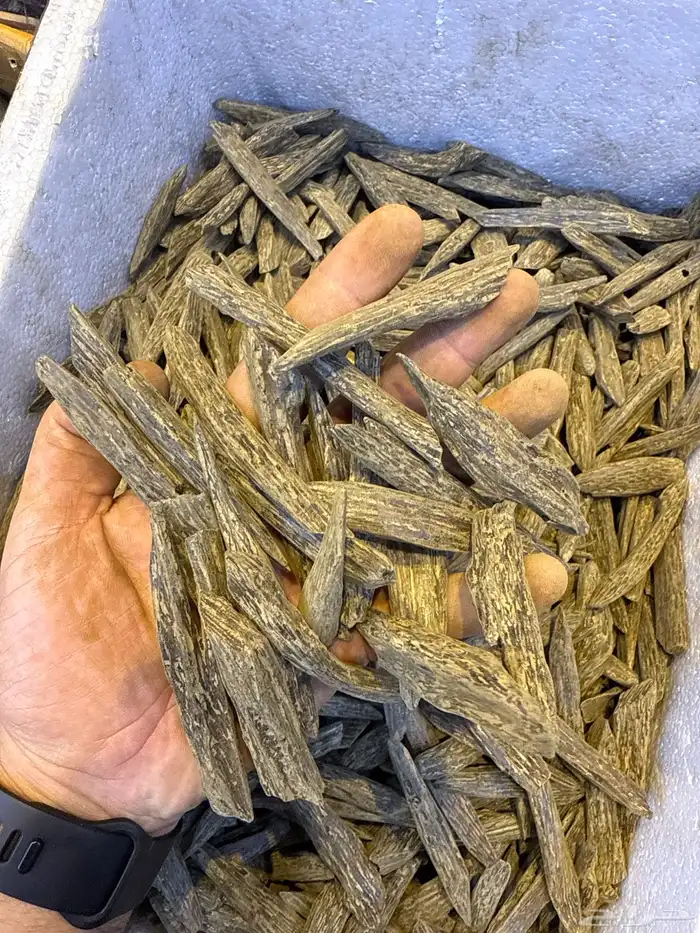 عود طبيعي محسن 22