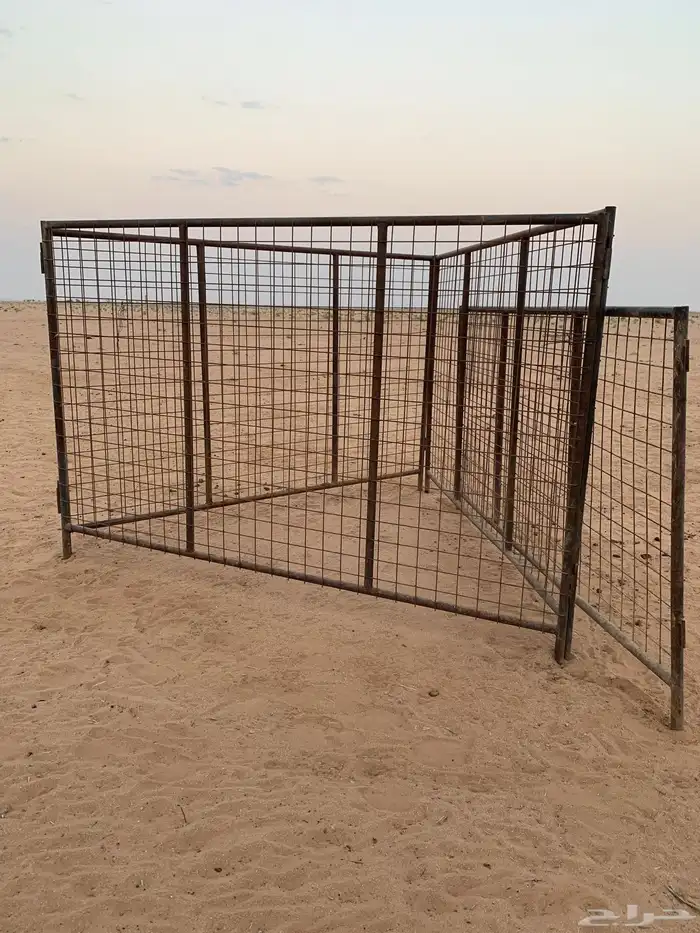 البيع شبوك ابل مستعملها 5