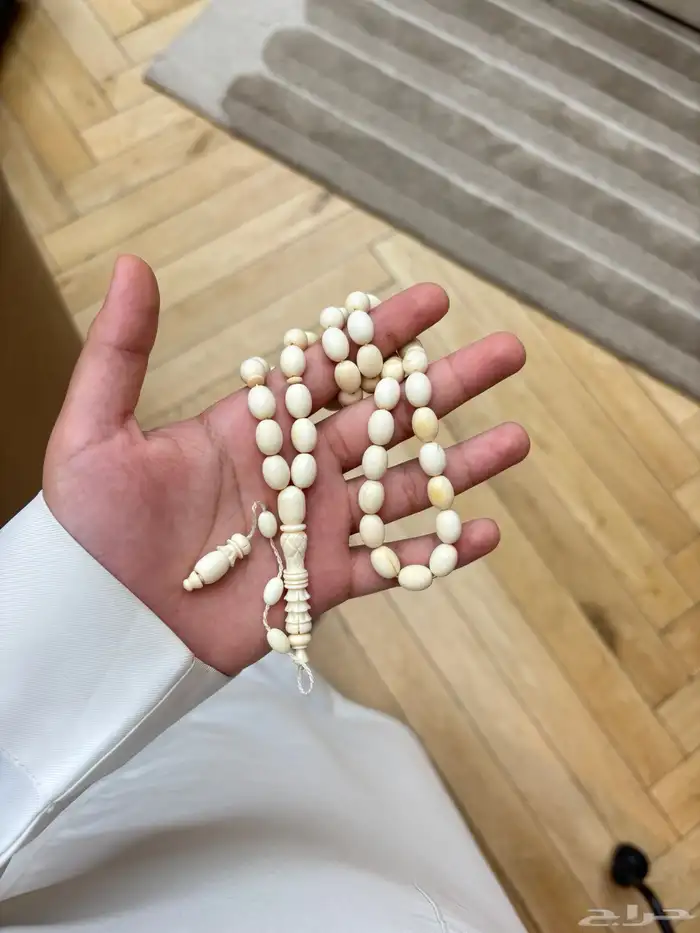 مسباح عاج فرس النهر 1