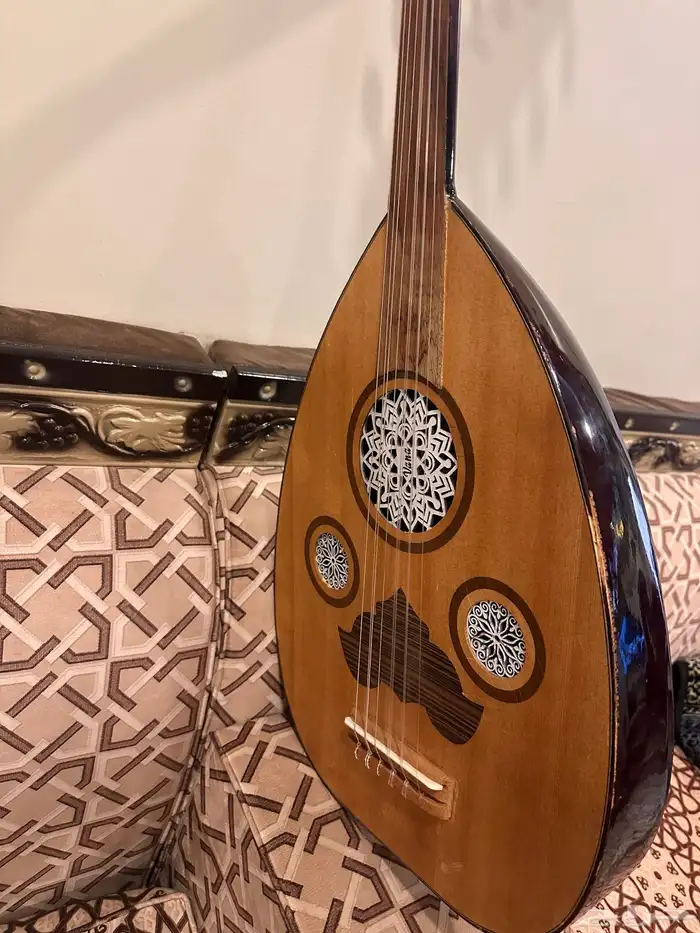 عود كهربائي ماركة فانا 6