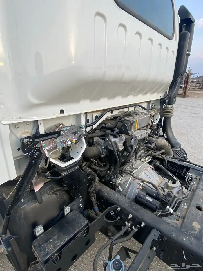 دينا اسيزو شاص طويل 10