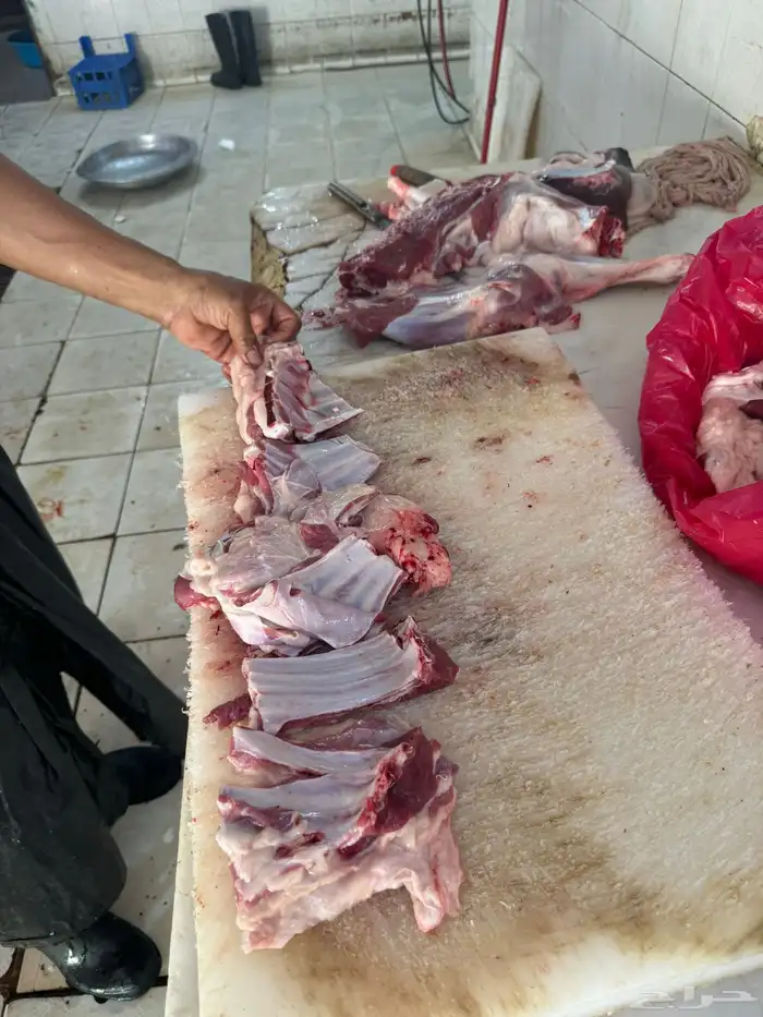 سواكن جملة وتفريد ويوجد توصيل 7