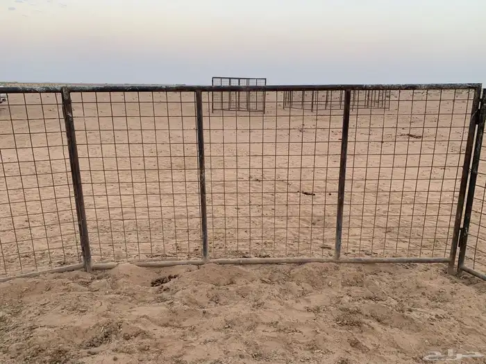 البيع شبوك ابل مستعملها 1