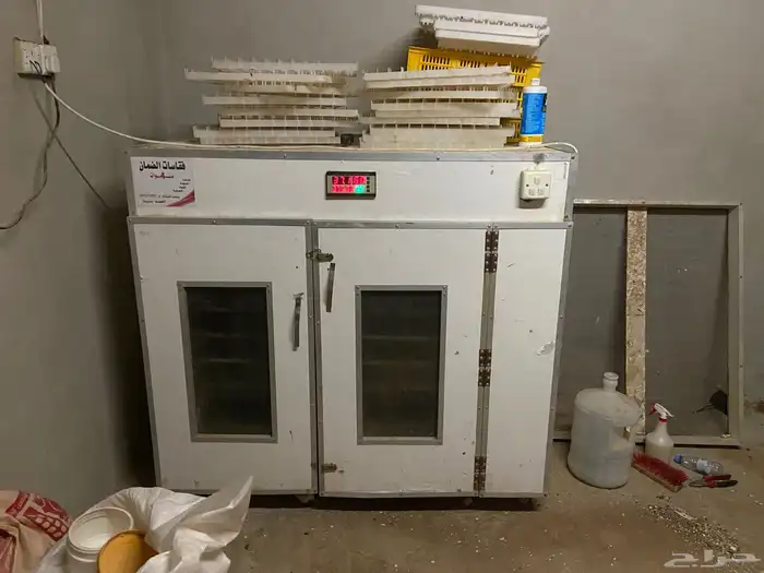 فقاسة تماتيك وطنية 0