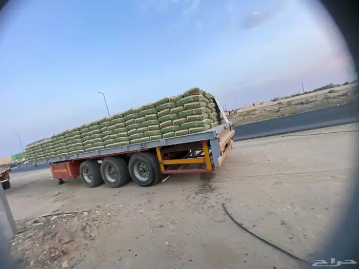 تيدر سطحة ثلاث محاور سست لعاب 2