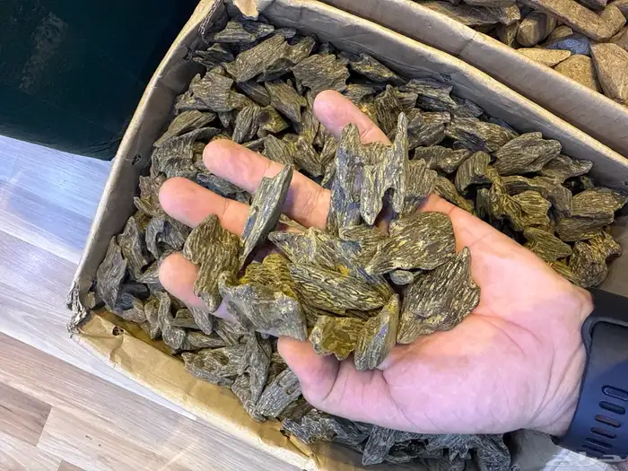 عود طبيعي محسن 15