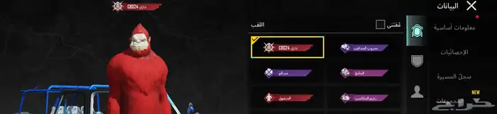 حساب ببجي للبيع 35