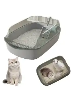 احتياجات القطط 5