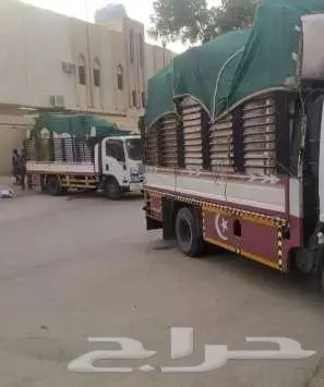 دينا مشاوير داخل مكه وخارج 0