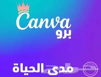 اشتراك كانفا برو مدى الحياة 1