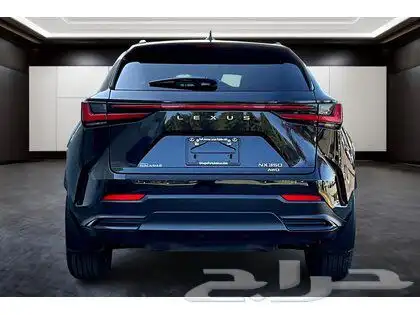 2024 Lexus NX 350 PREMIUM 1