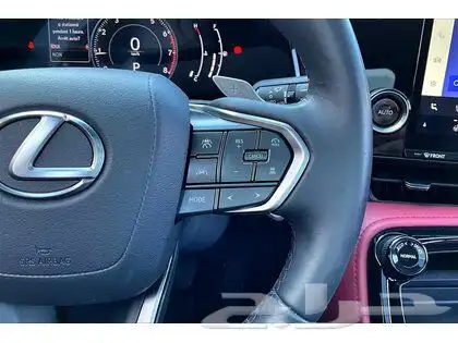 2024 Lexus NX 350 PREMIUM 10