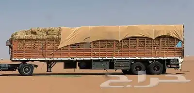 تيدر جوانب 0