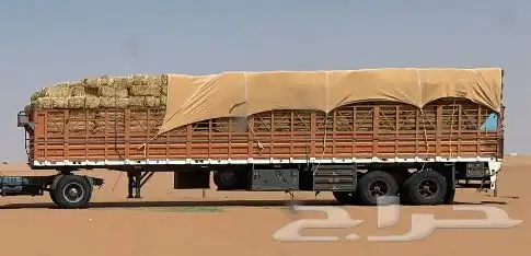 تيدر جوانب 0