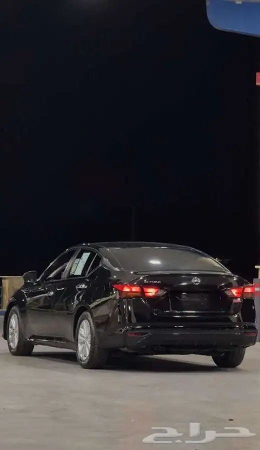 التيماء 2022 1