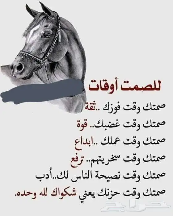 شعار احترافي   هوية قوية 0