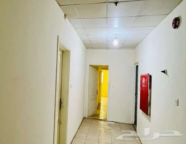 عمارة للايجار بالكامل مكة حي النزهة 19