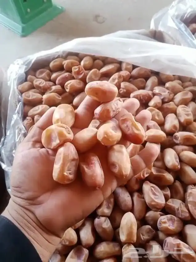 تمور اخلاص فله فاخر 1