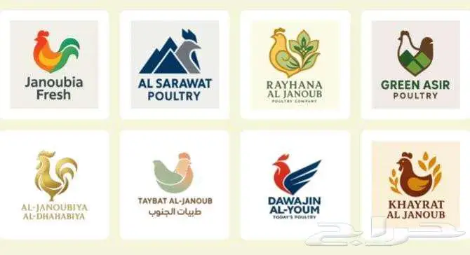 ممول لمشروع دجاج مبرد 0